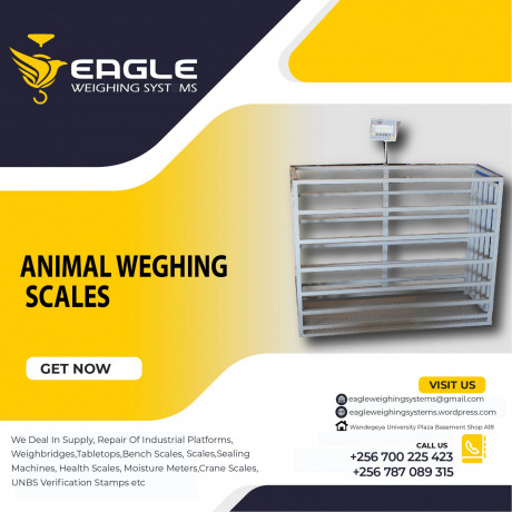 where-to-buy-animal-digital-weighing-scales-in-kampala-big-0