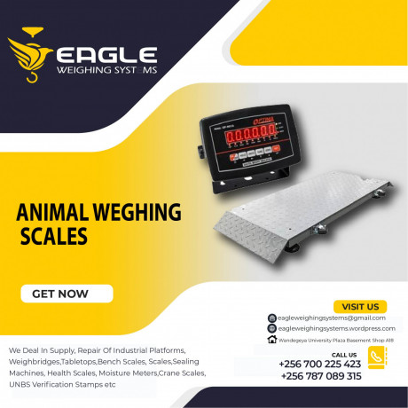 whole-seller-of-cattle-animal-weighing-scales-in-kampala-big-0