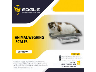 Animal Electronic Industrial platform weighing scales Kampala Uganda