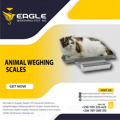 animal-electronic-industrial-platform-weighing-scales-kampala-uganda-big-0