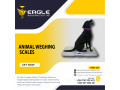 multi-function-animal-weighing-indicators-company-in-uganda-small-0