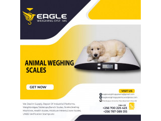 Stainless steel electronic animal weighing scales in Kampala Uganda