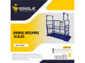 electronic-animal-commercial-weighing-scales-in-jinja-uganda-small-0