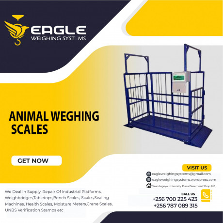 electronic-animal-commercial-weighing-scales-in-jinja-uganda-big-0