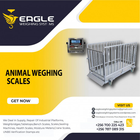 animal-computing-weighing-scales-for-shops-in-uganda-big-0