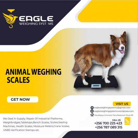 digital-industrial-weighing-scales-in-kampala-uganda-big-0