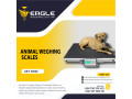 platform-weighing-scales-supplier-in-entebbe-uganda-small-0