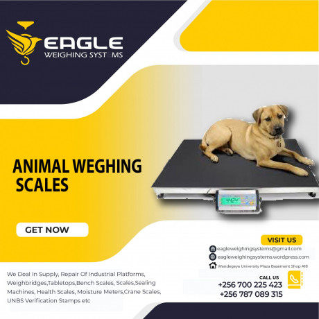 platform-weighing-scales-supplier-in-entebbe-uganda-big-0