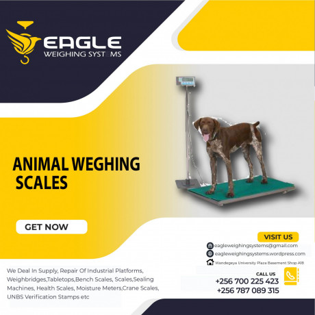 animal-tcs-system-electronic-bench-weighing-digital-platform-scales-uganda-big-0