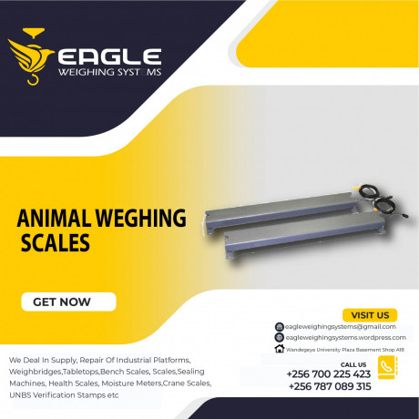 factory-use-electronic-digital-platform-animal-weighing-scales-kampala-uganda-big-0