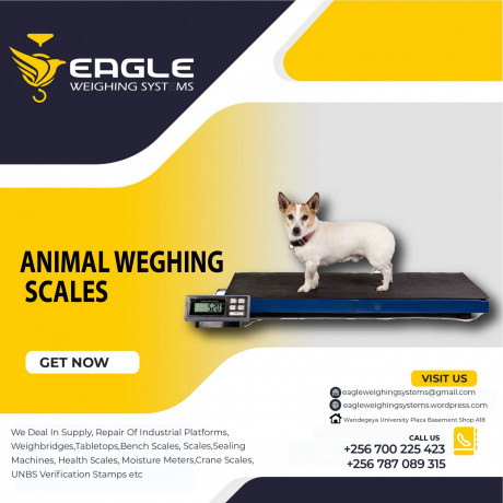 digital-weight-3-ton-electric-warehouse-animal-weighing-scales-kampala-uganda-big-0