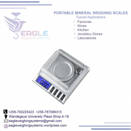 pocket-size-display-units-pocket-electronic-scales-in-mukono-big-0