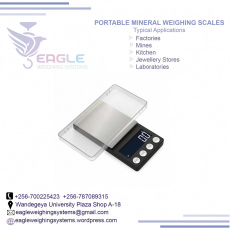 professional-mini-001-x-300g-portable-scales-in-kampala-big-0