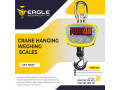 industrial-hangingweighing-crane-scale-small-0