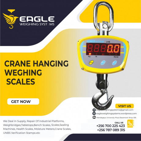 industrial-hangingweighing-crane-scale-big-0