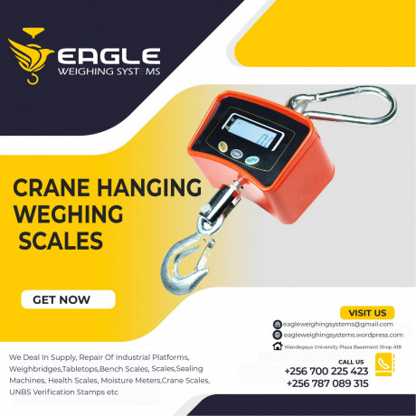 crane-scales-200kg-big-0