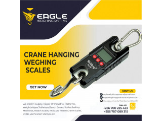 Digital Hanging Luggage Weight Scale