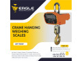 hanging-weighing-scales-50kg-small-0