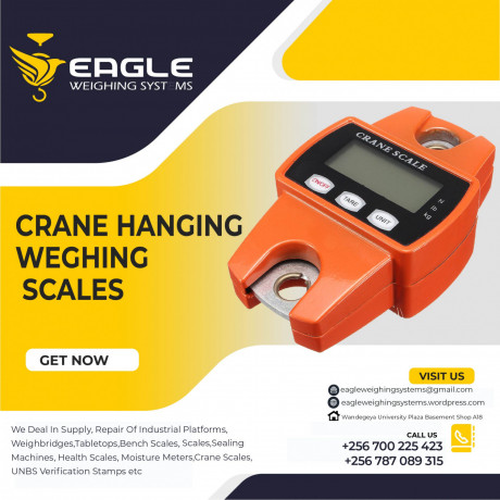 digital-crane-scales-for-home-and-farm-use-big-0