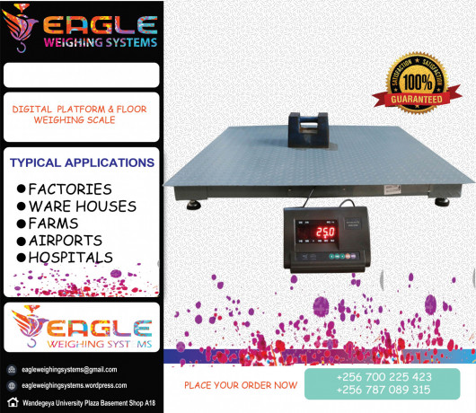 pet-platform-wegihng-scales-big-0