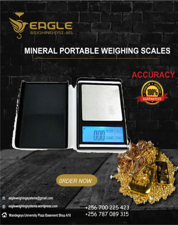 electronic-digital-scale-portable-weighing-scale-in-kampala-big-0