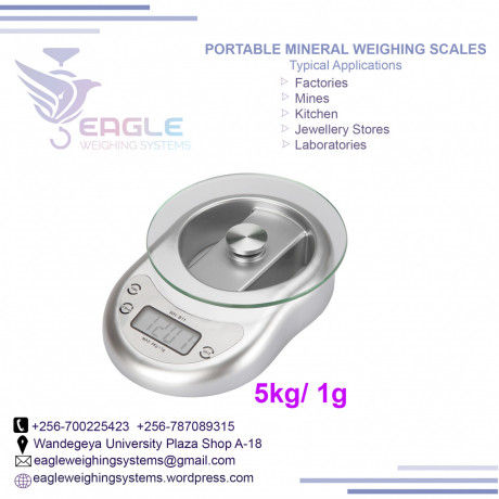 multi-function-stainless-steel-digital-portable-scale-in-kampala-big-0