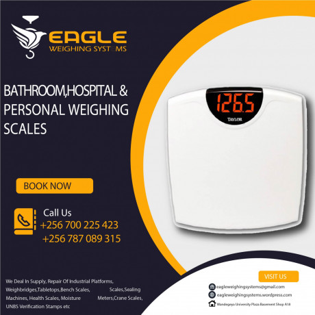 custom-designed-electronic-bodyweighing-scale-big-0