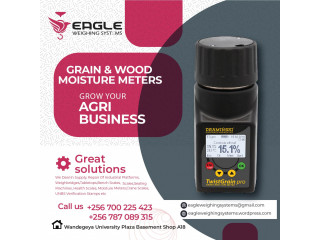 Portable moisture meter for dry grains