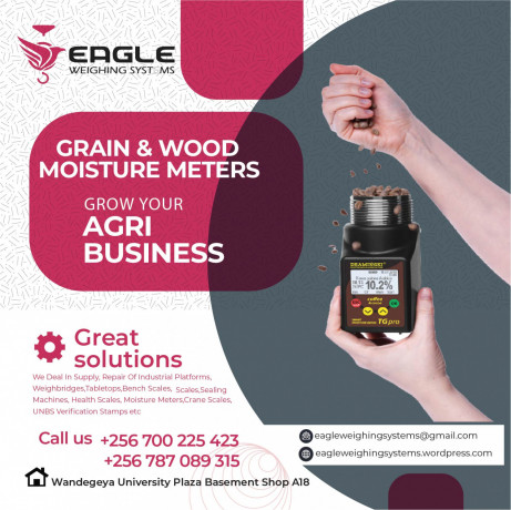 portable-grain-moisture-meters-for-maize-coffee-beans-in-kampala-uganda-big-0