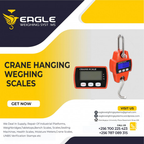 1-ton-digital-hanging-crane-scales-big-0