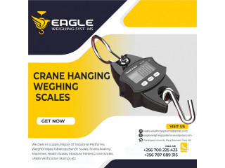 High-Precision Hanging Weighing Scale