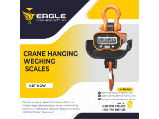 Digital Hanging Scale,50kg Capacity