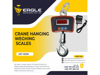 Electronic luggage scales