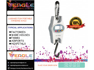 High Precision Hanging Digital Scale