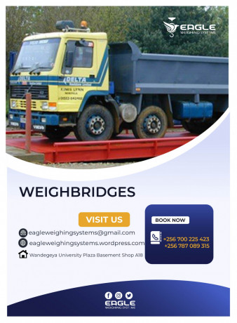 weighbridge-with-high-precision-double-ended-shear-beam-big-0