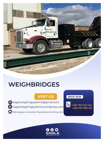 digital-weighbridge-series-at-eagle-weighing-systems-big-0