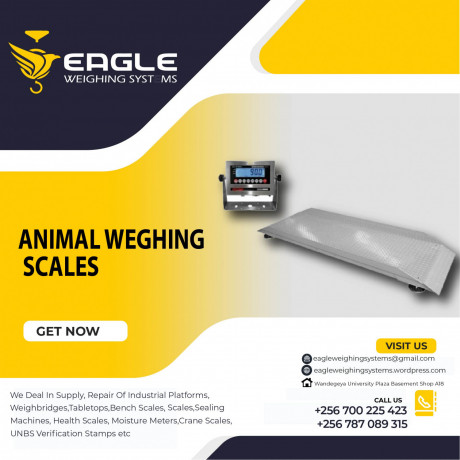 best-price-of-animal-weighing-scales-in-kampala-big-0