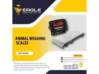 Whole seller of cattle animal weighing scales in Kampala