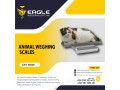 animal-electronic-industrial-platform-weighing-scales-kampala-uganda-small-0