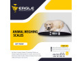 stainless-steel-electronic-animal-weighing-scales-in-kampala-uganda-small-0