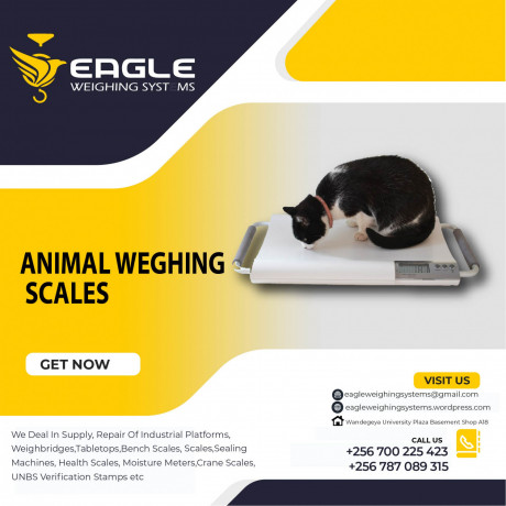 digital-platform-animal-weighing-scales-in-kampala-uganda-big-0