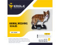 digital-industrial-weighing-scales-in-kampala-uganda-small-0