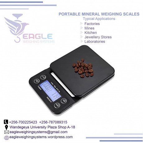 electronic-digital-scale-portable-weighing-scale-in-kampala-big-0