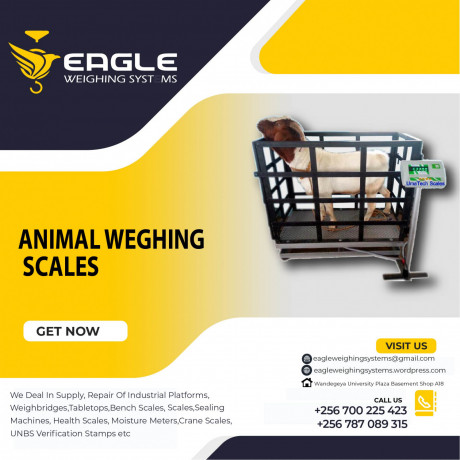 heavy-duty-animal-weighing-scales-in-kampala-uganda-big-0