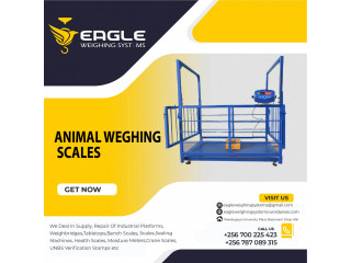 A12E platform animal weighing scales company Kampala Uganda