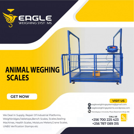 a12e-platform-animal-weighing-scales-company-kampala-uganda-big-0