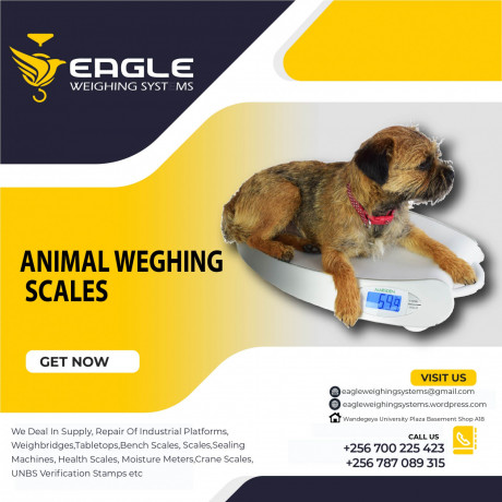 heavy-duty-animal-cows-livestock-weighing-scales-supplier-of-uganda-big-0