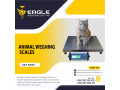 3000kg-animal-cattle-electronic-digital-industrial-platforms-in-kampala-small-0