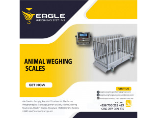 Animal livestock Weighing Scale Bench Scale For animals in Kampala