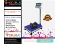 electronic-industrial-platform-weighing-scales-in-kampala-small-0